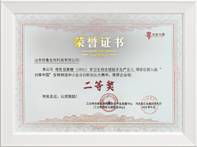 “创客中国”二等奖