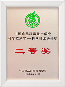 科学技术进步奖二等奖