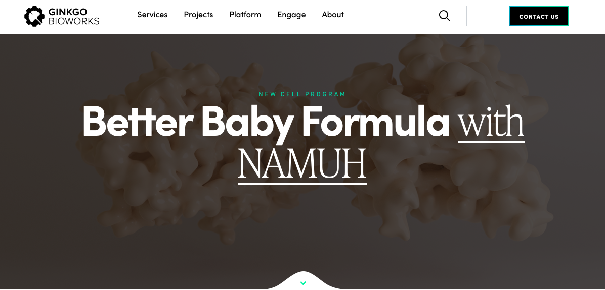 Namuh与Ginkgo联手，开创婴儿营养新篇章！