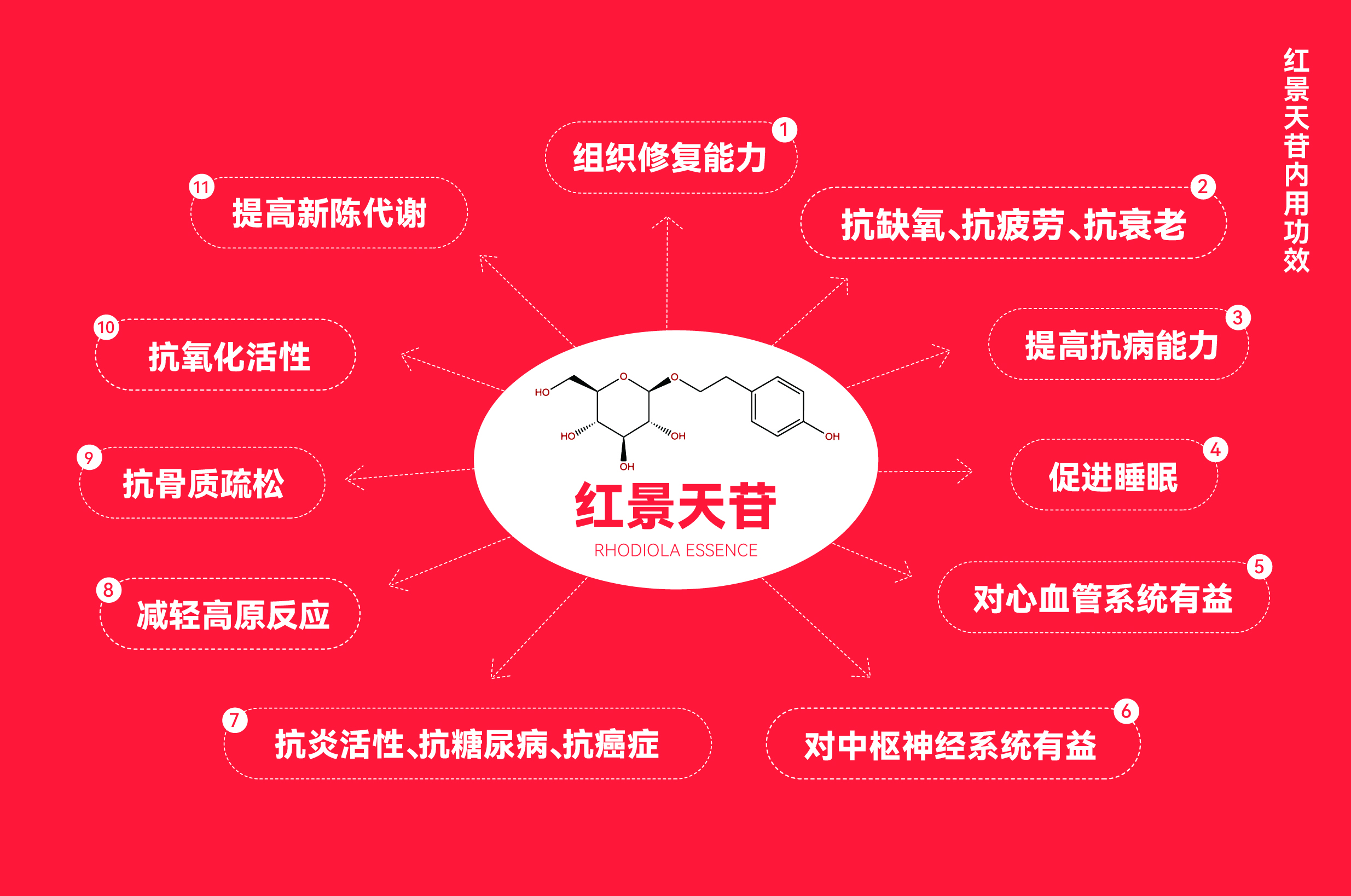 红景天苷对人体有哪些帮助？